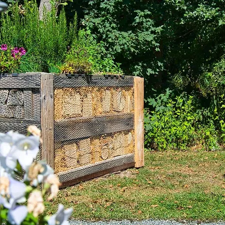 Flintstone * Sassnitz